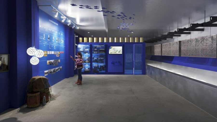 L'Escala: SOLÉS Anchovy Factory-Museum Admission and Tasting - Why This Tour Matters for Your Trip