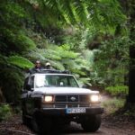 Let-Me-Surprise-You Madeira Full Day Private Tour - Final Thoughts