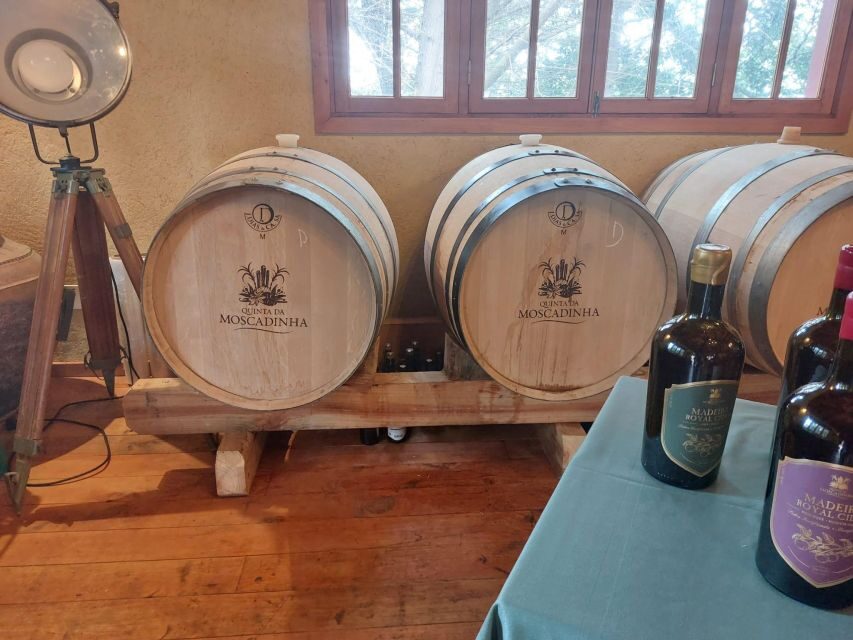 Levada Walk, Cider Tasting & Lunch - Exploring Madeira’s Natural Beauty with the Levada Walk