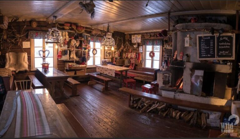 Levi: 3 Hour Snowmobile Safari Around Levi with Coffee Break - The Real Value of This Tour