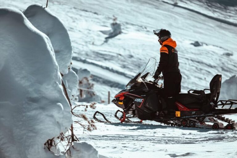 Levi: Full Day Snowmobile Safari to Wilderness - Who Will Love This Tour?