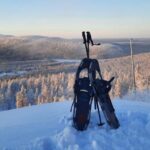 Levi: Gentle Snowshoe Walk in Winter Wilderness - Why This Tour Offers Good Value