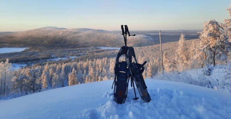 Levi: Gentle Snowshoe Walk in Winter Wilderness - Why This Tour Offers Good Value