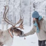 Levi: Horse and Husky Farm Visit with Juice and Cookies - The Itinerary Breakdown