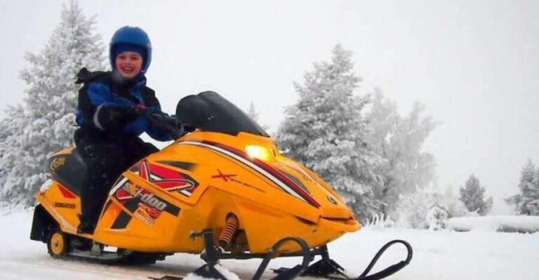 Levi: Lapland Family Snowmobile Safari - The Scenic Ride: Snow-covered Forests and Lakes