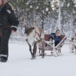 Levi: Lappish Reindeer Sled Ride 3 km - Pricing & Value
