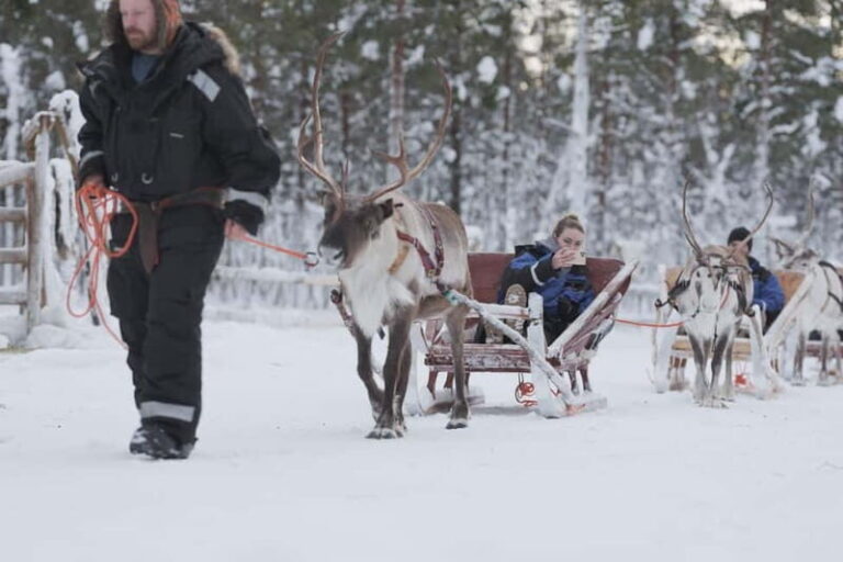 Levi: Lappish Reindeer Sled Ride 3 km - Pricing & Value
