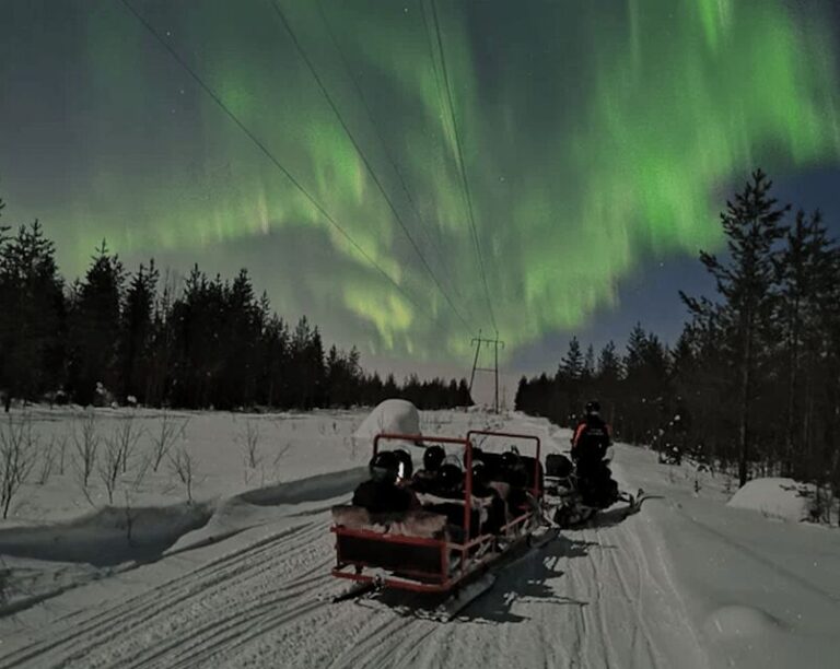 Levi: Northern Lights Sledge Ride - What to Expect During the Tour