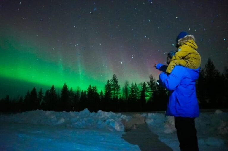 Levi: Northern Lights Tour with Guaranteed Sightings - What to Expect on the Tour