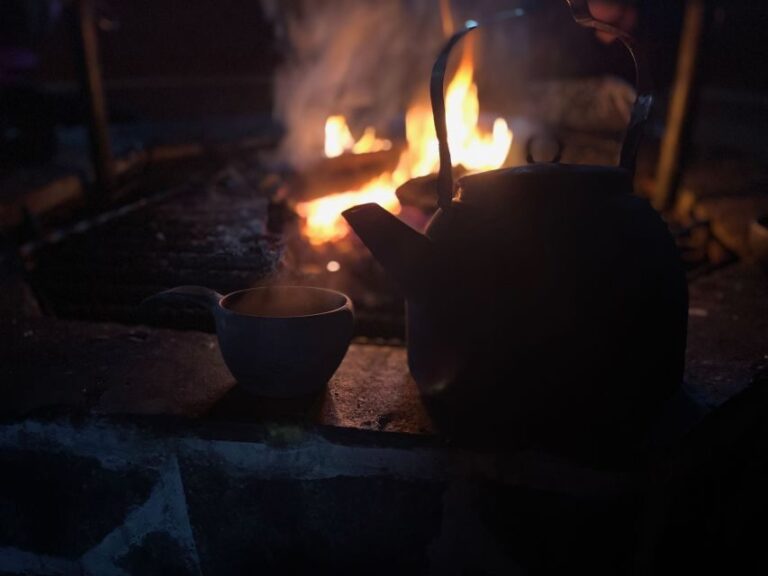 Levi: Pallas-Yllästunturi National Park Snowshoeing Tour - A Deep Dive into the Snowshoeing Experience