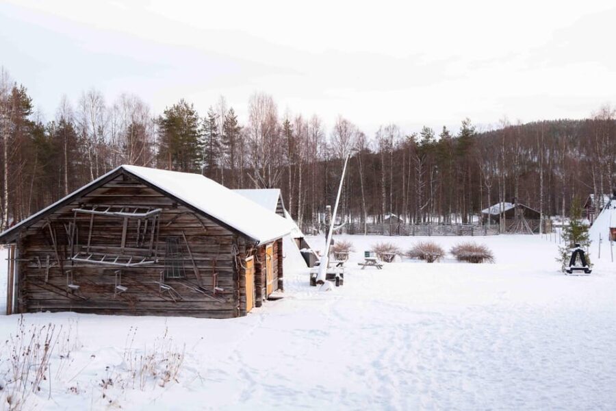Levi: Reindeer Farm E-Fatbike Safari - A Visit to the Reindeer Farm