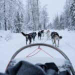 Levi: Self-Drive Guided Husky Tour - What Reviewers Say