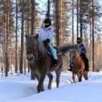 Levi: Snowy Forest Ride and Polar Lights Tours - What Travelers Say