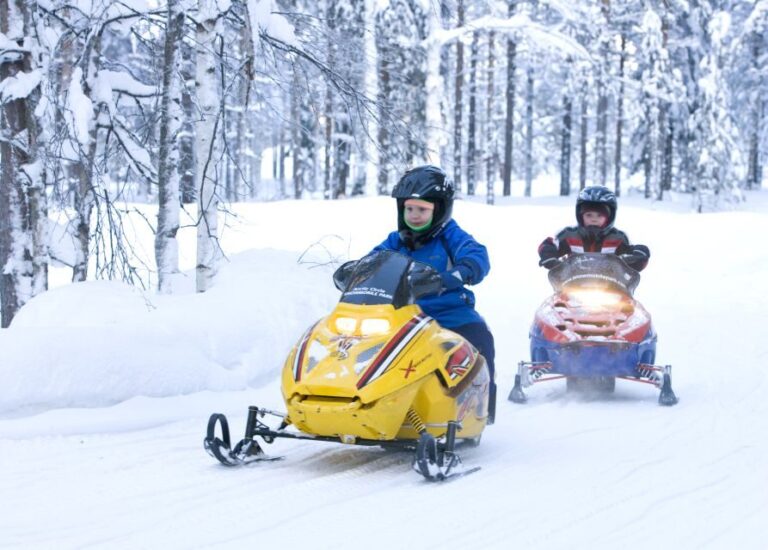 Levi: Winter Highlights Tour with Snowmobiling - What Many Visitors Say