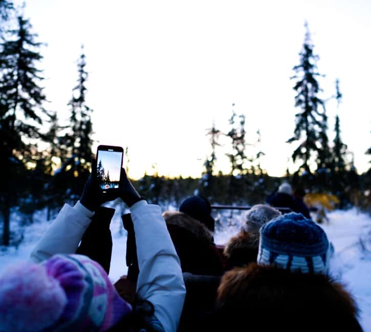 Levi: Winter Wilderness Husky & Reindeer Safari Combo Tour - What’s Included & What to Expect