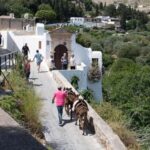 Lindos Day Cruise with Swim Stops from Faliraki & Kalithea - The Experience in Detail