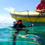 Lisboa:Try Scuba Diving in Arrábida Marine Reserve w/photos - Who Should Consider This?