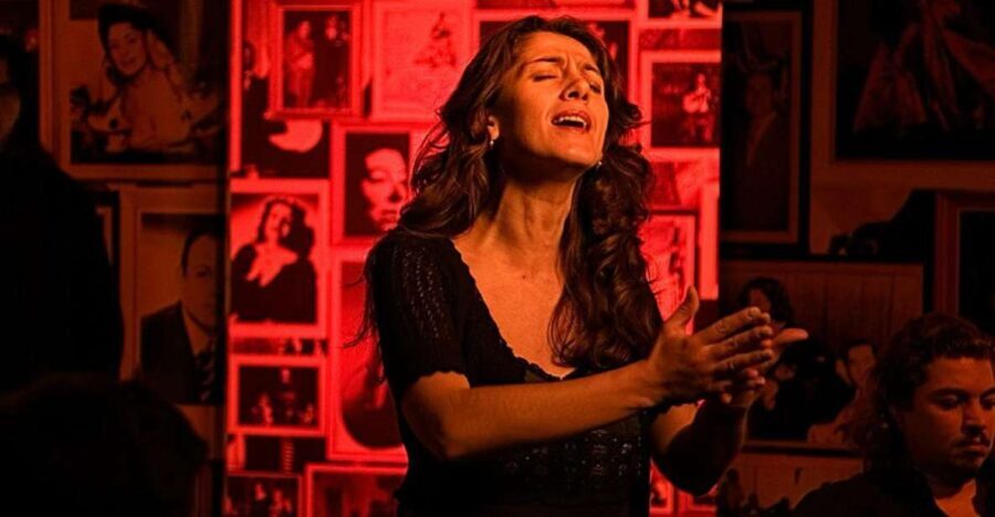 Lisbon: Alfama Tour and Live Fado with Traditional Dinner - Practicalities and What to Expect