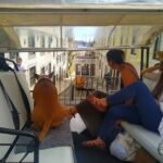 Lisbon: All City Premium Private Guided Tour by Tuk-Tuk - Exploring Lisbon on a Tuk-Tuk: An Authentic and Convenient Experience