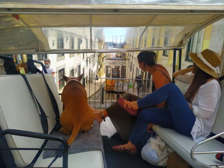 Lisbon: All City Premium Private Guided Tour by Tuk-Tuk - Exploring Lisbon on a Tuk-Tuk: An Authentic and Convenient Experience