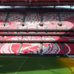 Lisbon: Benfica Luz Stadium Tour with Souvenir Scarf - The Experience and Atmosphere