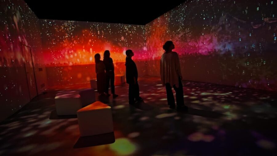 Lisbon: Experience the Queen of Fado at AH AMÁLIA - Why This Experience Stands Out