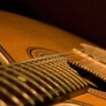 Lisbon: Fado Experience Private Tour - What to Expect Throughout the Day