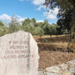 Lisbon: Holy Miracle Church Santarem & Fatima Private Tour - Santarem’s Church of the Most Holy Miracle
