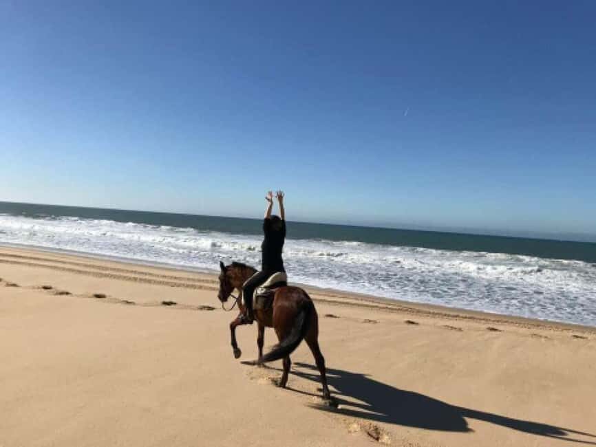 Lisbon: Horse Riding at the Beach with Lunch - Who Will Love This Tour?