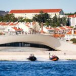 Lisbon: MAAT Entry Ticket & Dolphin Watching Boat Tour - A Detailed Look at the Tour Experience