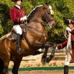 Lisbon: Morning of Equestrian Art with Lusitano Horses - Additional Insights from Reviews