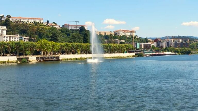 Lisbon: One Way to Douro Valley through Coimbra and Obidos - Who Is This Tour Best For?