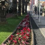 Lisbon: Pena Palace, Sintra, Cascais, and Cabo Roca Day Trip - Sintra: Cobblestone Charm and Local Flavors