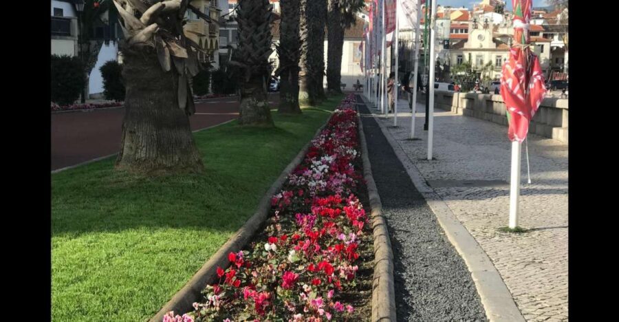 Lisbon: Pena Palace, Sintra, Cascais, and Cabo Roca Day Trip - Sintra: Cobblestone Charm and Local Flavors