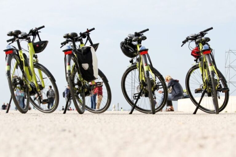 Lisbon: Portuguese Petiscos Tasting Tour by E-Bike - What Makes This Tour Stand Out?