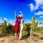 Lisbon: Private All Inclusive Setúbal & Arrábida Wine Tour - Visiting the Wineries: A Deep Dive into Portugal’s Winemaking Heritage
