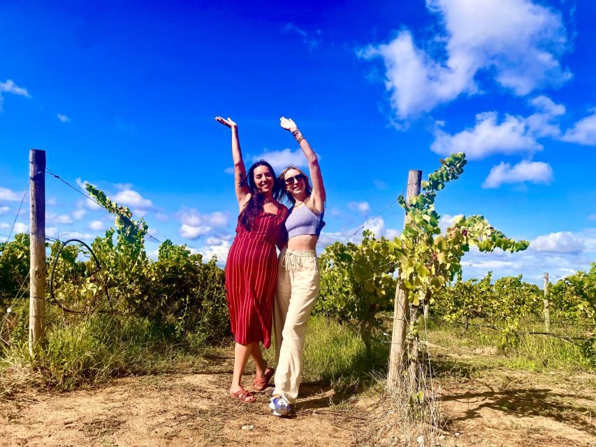 Lisbon: Private All Inclusive Setúbal & Arrábida Wine Tour - Visiting the Wineries: A Deep Dive into Portugal’s Winemaking Heritage