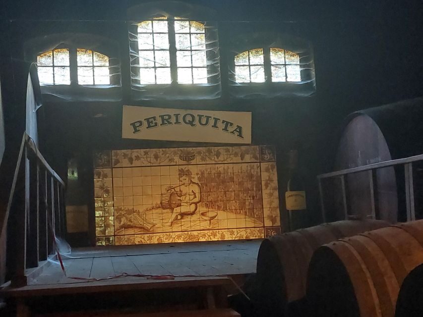 Lisbon: Private Full-Day Wine Tasting Tour in a premium car - Visiting the Wineries: What to Expect