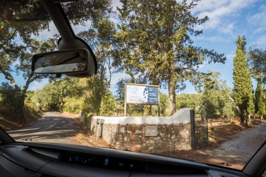 Lisbon Private Setúbal Region Wine Tasting Tour - Who Will Love This Tour?