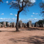 Lisbon: Private Tour to Evora with Private Transport & Guide - What Reviewers Say