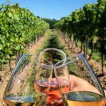 Lisbon: Setúbal, Arrábida and Azeitão Private Wine Tour - The Itinerary Breakdown