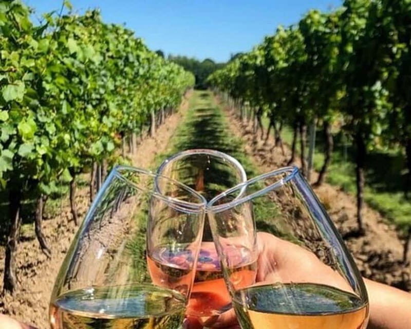 Lisbon: Setúbal, Arrábida and Azeitão Private Wine Tour - The Itinerary Breakdown