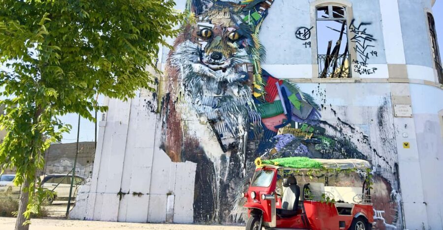 Lisbon: Sightseeing City Tour by Tuk-Tuk - The Value & Practical Considerations