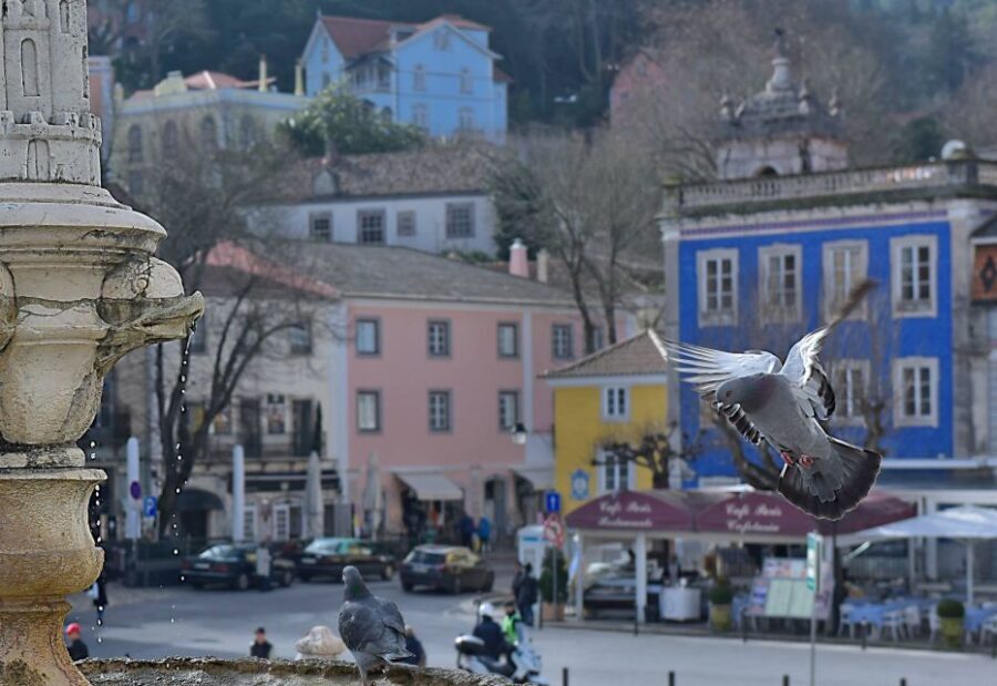 Lisbon: Sintra, Pena Palace, Quinta Regaleira, Cascais Tour - Practical Tips for a Smooth Day