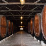 Lisbon: Snorkeling and Wine Tasting in Arrábida - The Practicalities