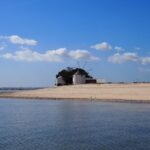 Lisbon: Tagus Estuary Nature Reserve Birdwatching Boat Tour - Final Thoughts