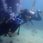 Lisbon: Try Dive in Arrábida Marine Reserve Setubal Sesimbra - What Sets This Experience Apart?