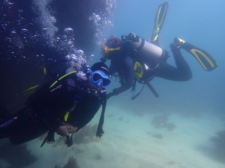 Lisbon: Try Dive in Arrábida Marine Reserve Setubal Sesimbra - What Sets This Experience Apart?