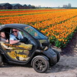 Lisse: Self-Guided Tulip Fields GPS Audio Tour - Who Will Love This Tour?