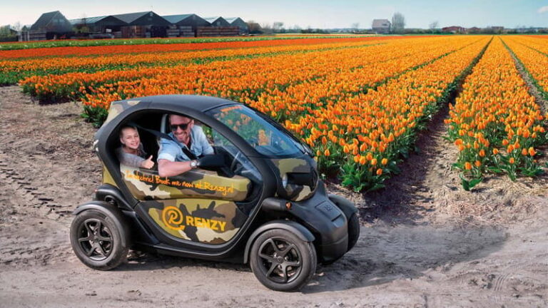 Lisse: Self-Guided Tulip Fields GPS Audio Tour - Who Will Love This Tour?